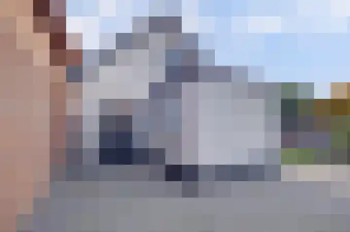 Wilhelminastraat 11 Mijnsheerenland thumbnail 5