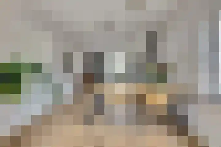 Wilhelminastraat 11 Venray thumbnail 11