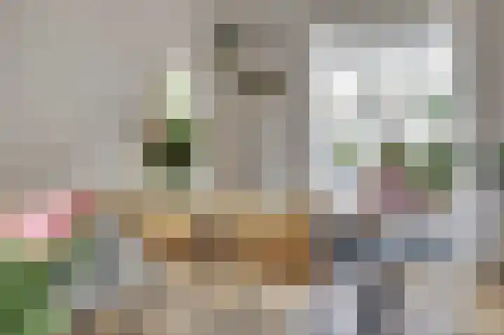 Wilhelminastraat 11 Venray thumbnail 12