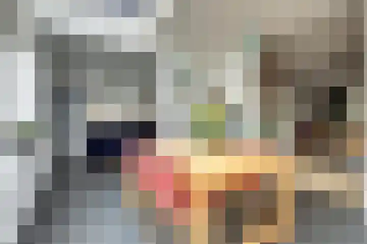 Wilhelminastraat 11 Venray thumbnail 14