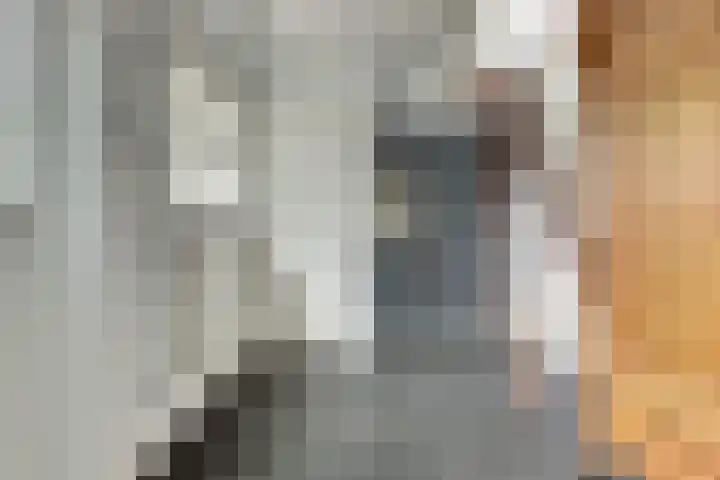 Wilhelminastraat 11 Venray thumbnail 19