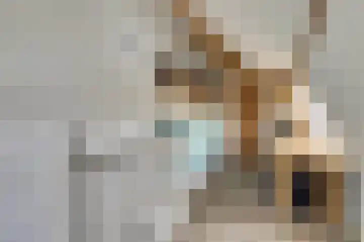 Wilhelminastraat 11 Venray thumbnail 21