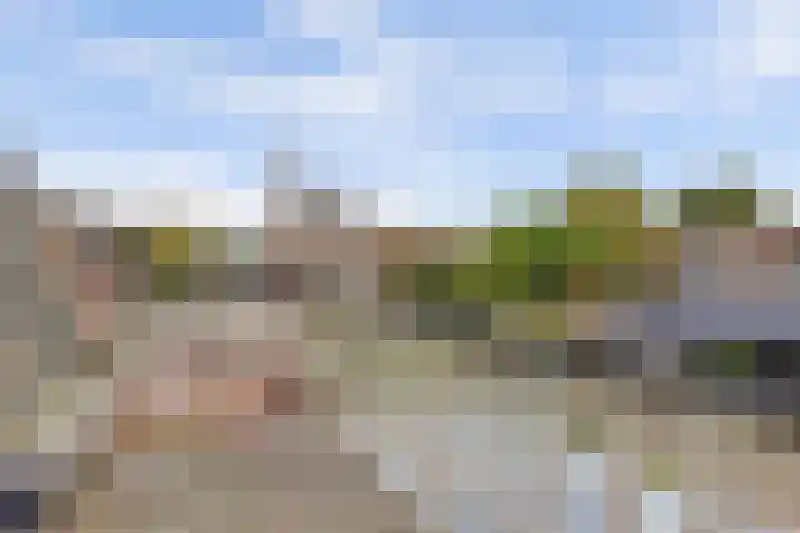 Wilhelminastraat 11 Venray thumbnail 28