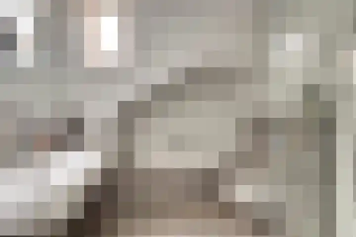 Wilhelminastraat 11 Venray thumbnail 31
