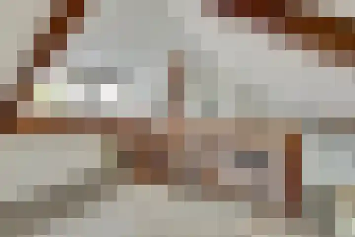 Wilhelminastraat 11 Venray thumbnail 33