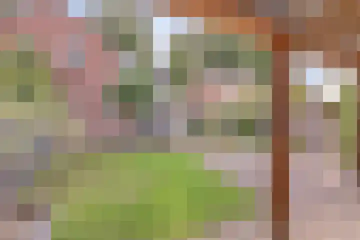 Wilhelminastraat 11 Venray thumbnail 42