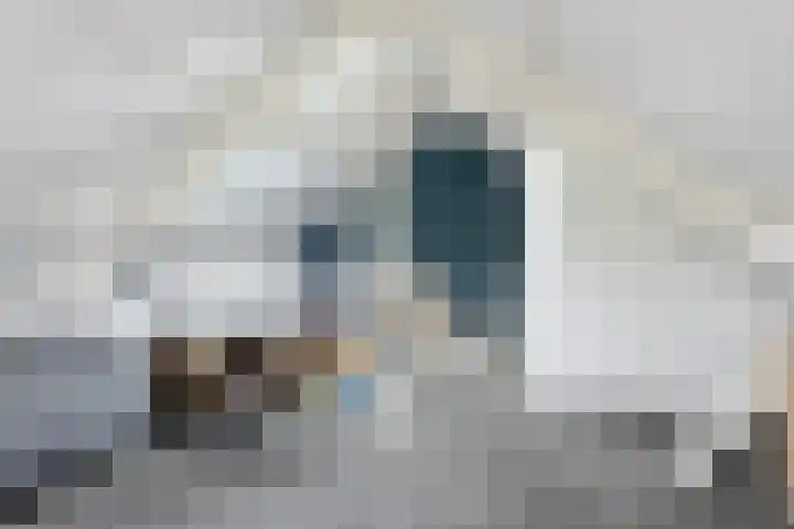 Wilhelminastraat 11 Wolvega thumbnail 24