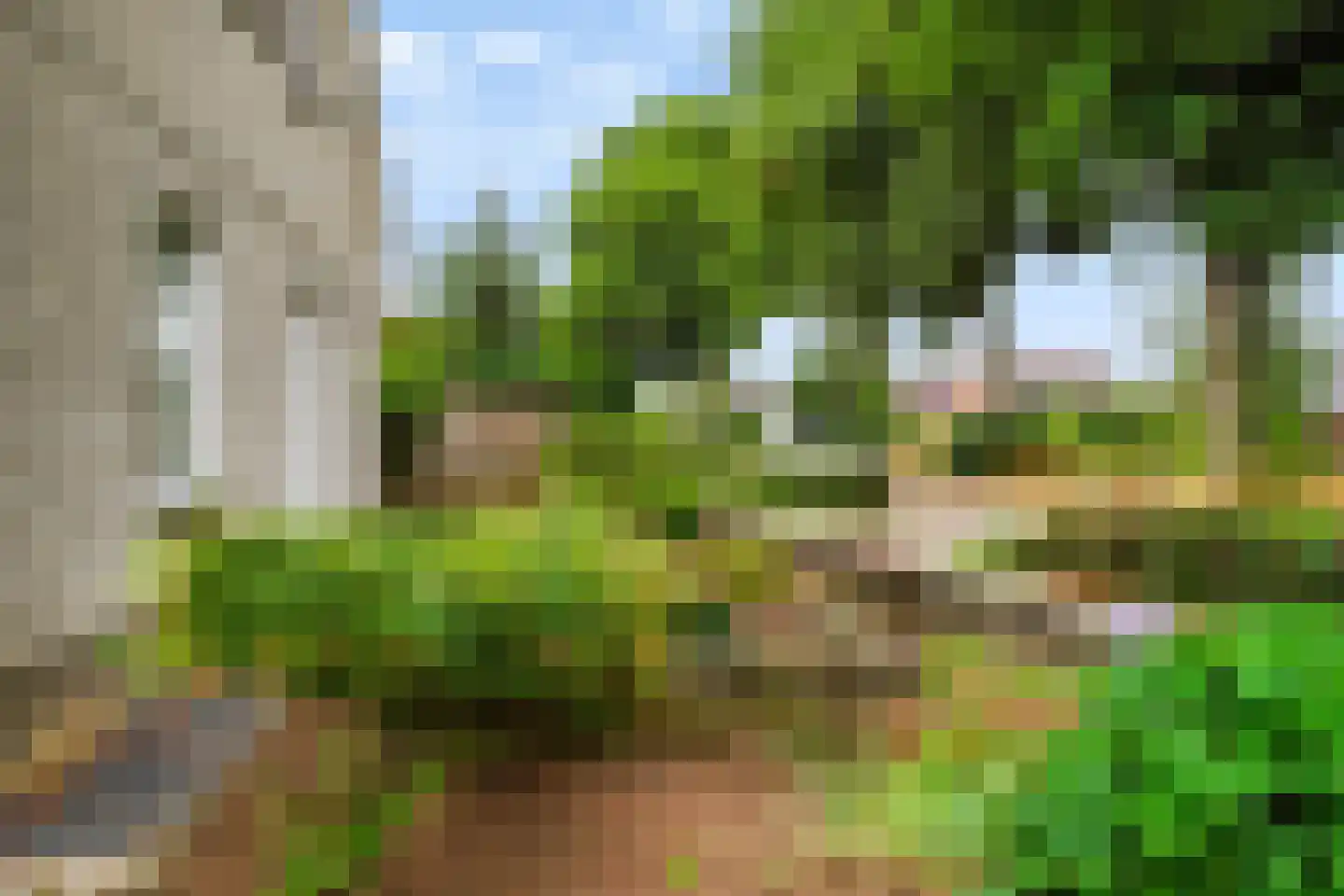 Wilhelminastraat 111 Didam thumbnail 10