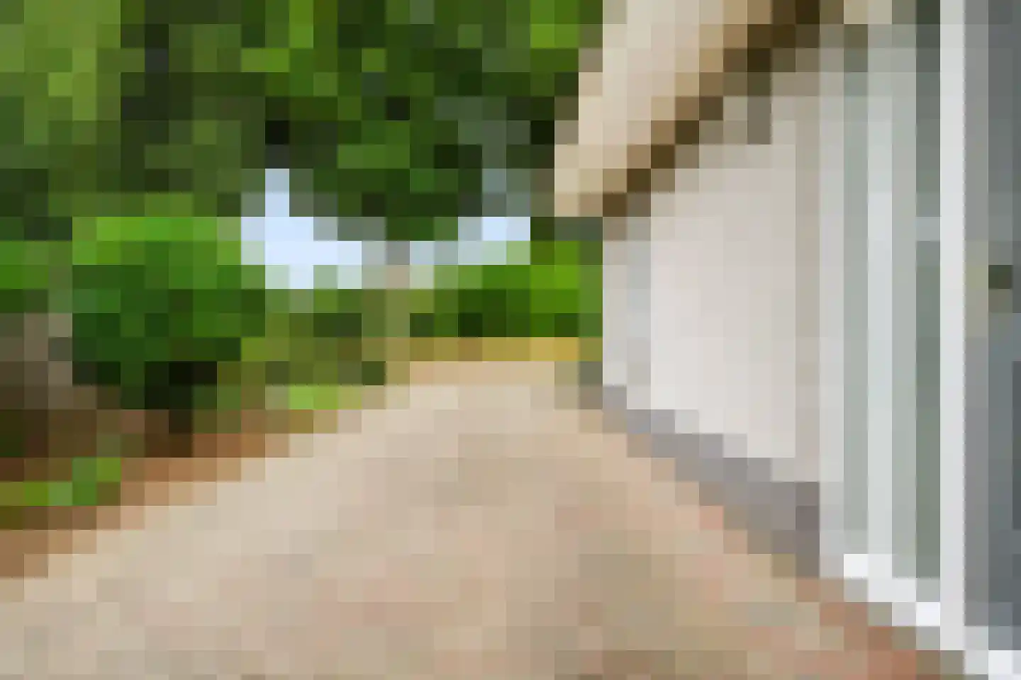 Wilhelminastraat 111 Didam thumbnail 11