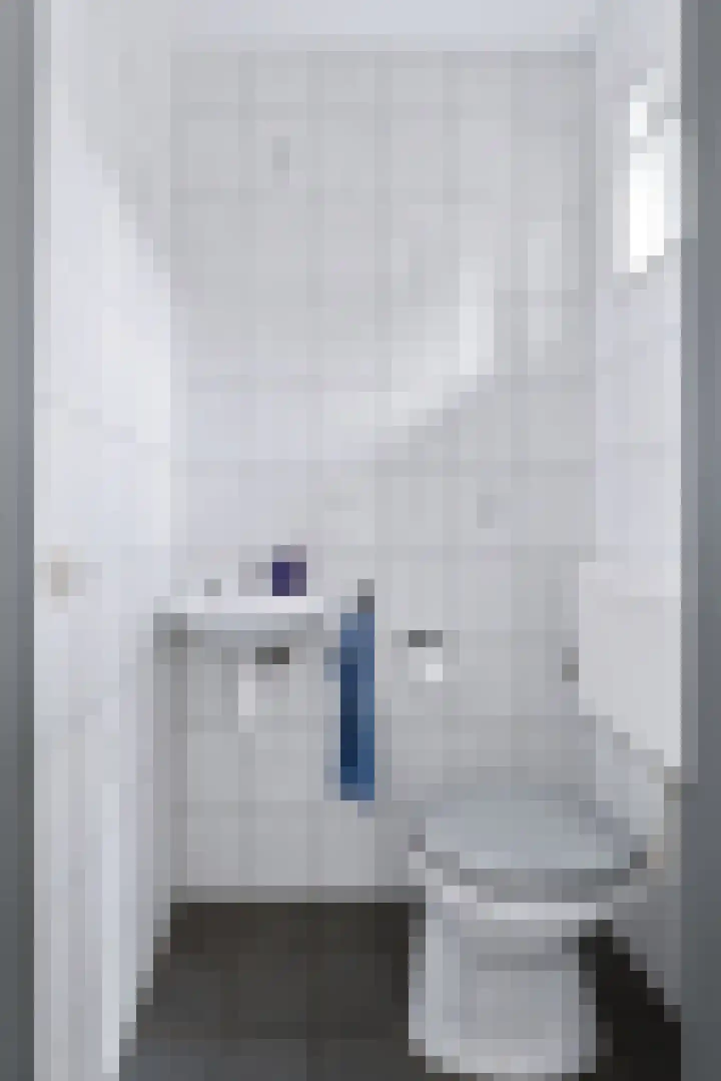 Wilhelminastraat 111 Didam thumbnail 15