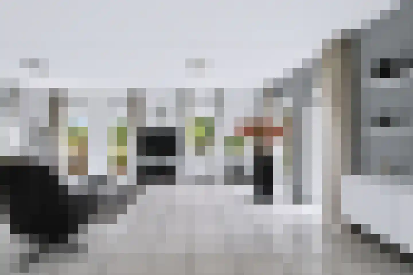 Wilhelminastraat 111 Didam thumbnail 17