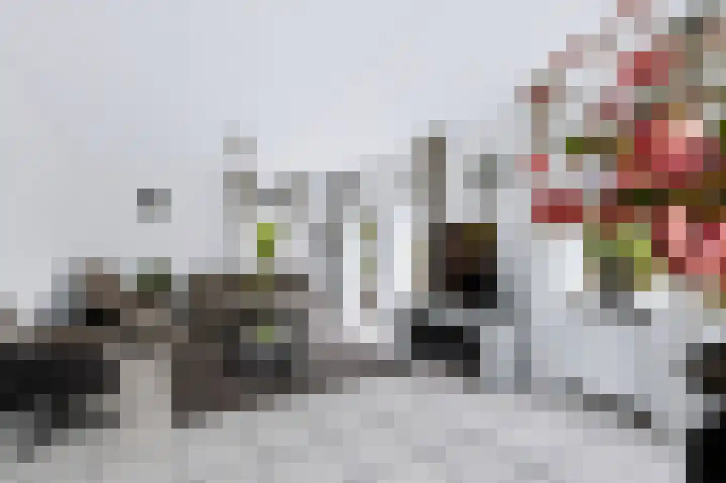 Wilhelminastraat 111 Didam thumbnail 18