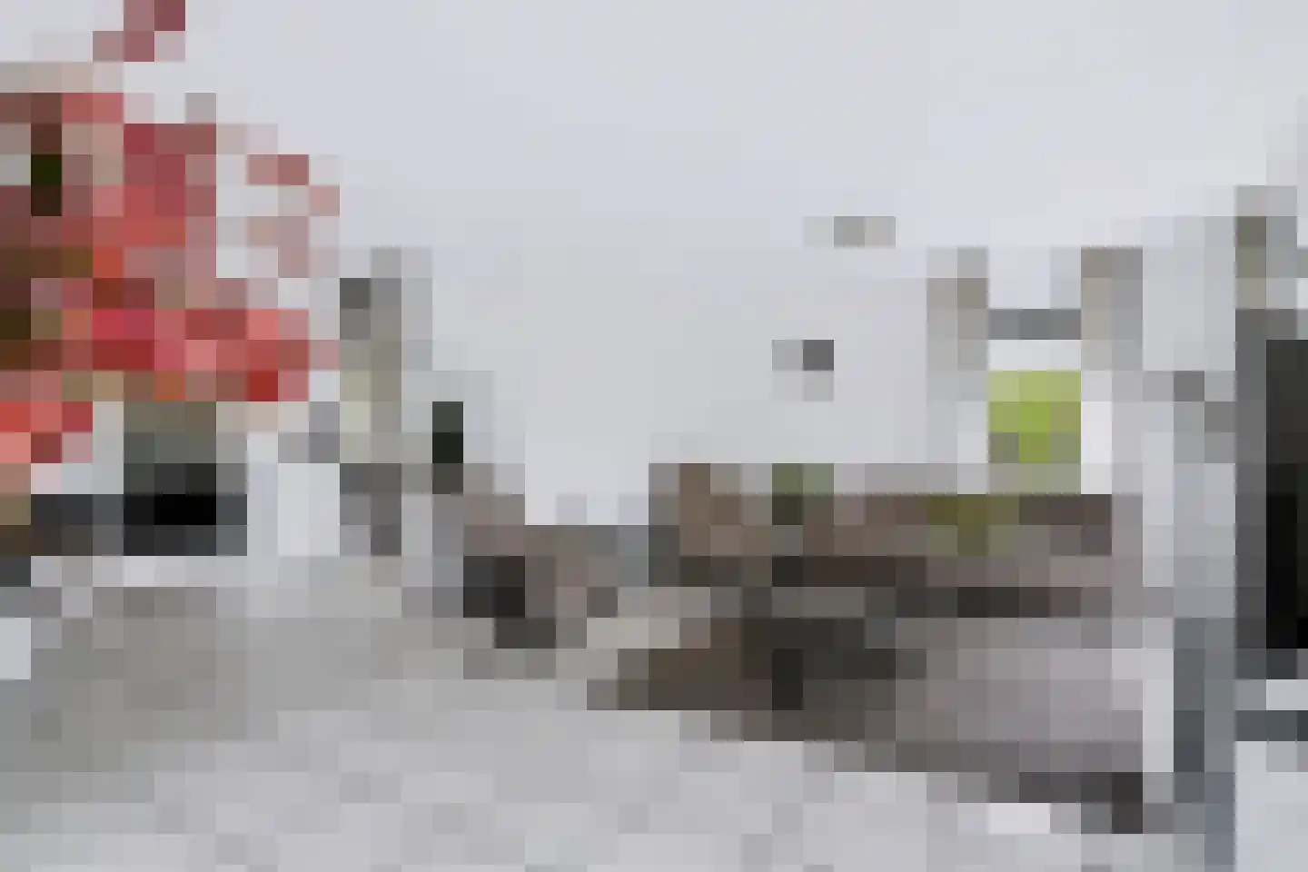 Wilhelminastraat 111 Didam thumbnail 19