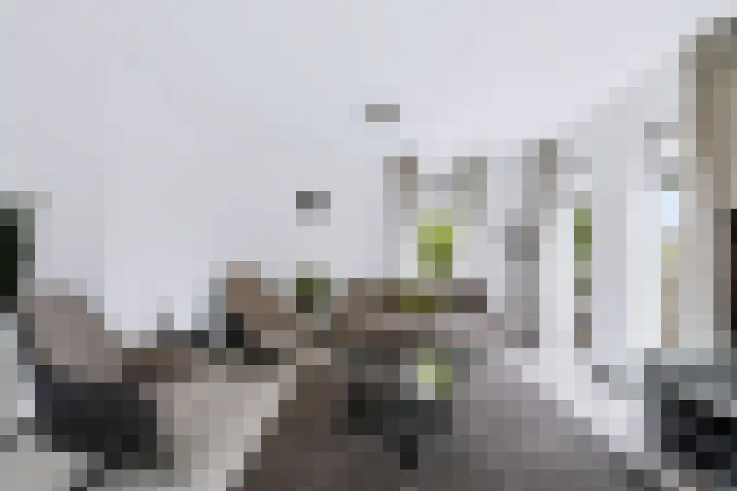 Wilhelminastraat 111 Didam thumbnail 20