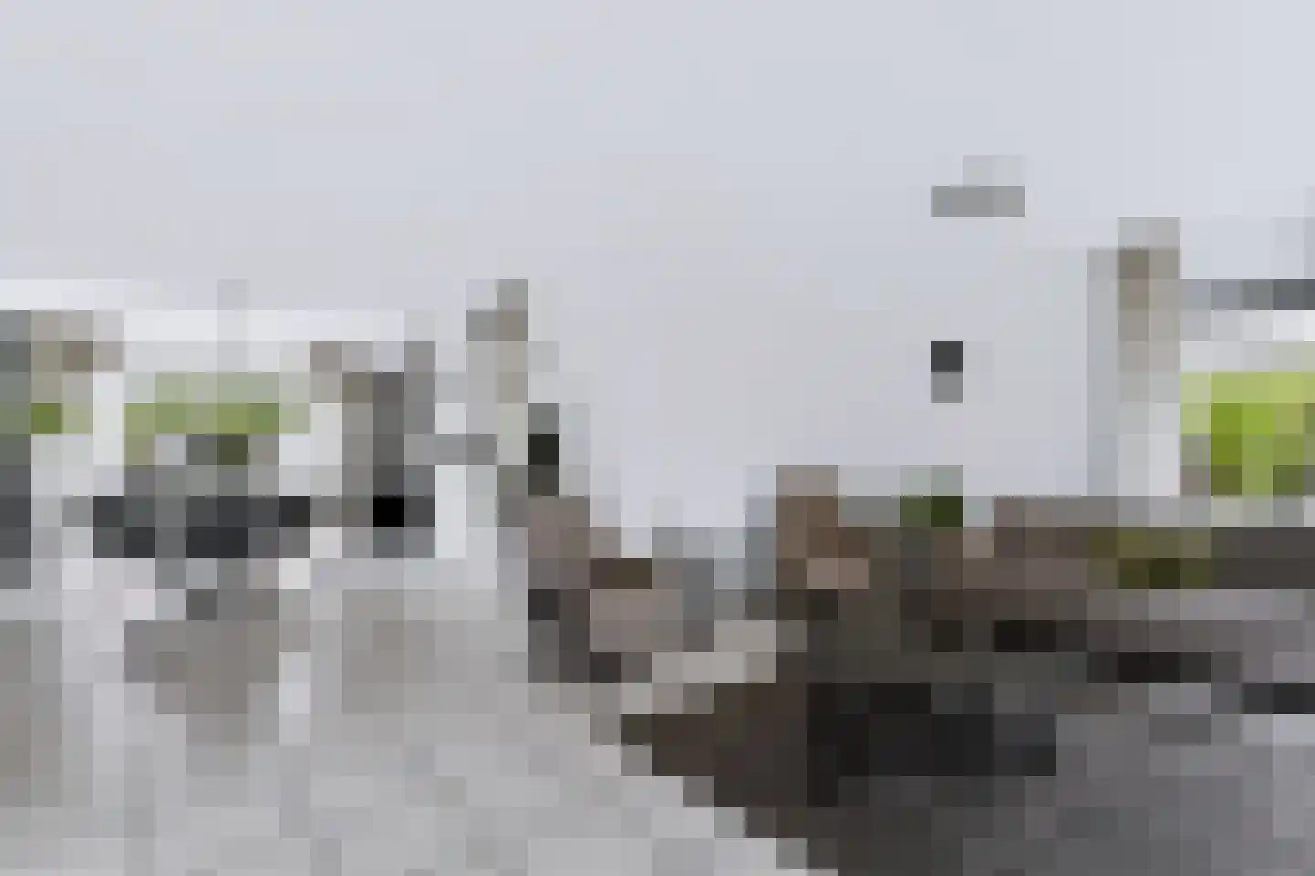 Wilhelminastraat 111 Didam thumbnail 21
