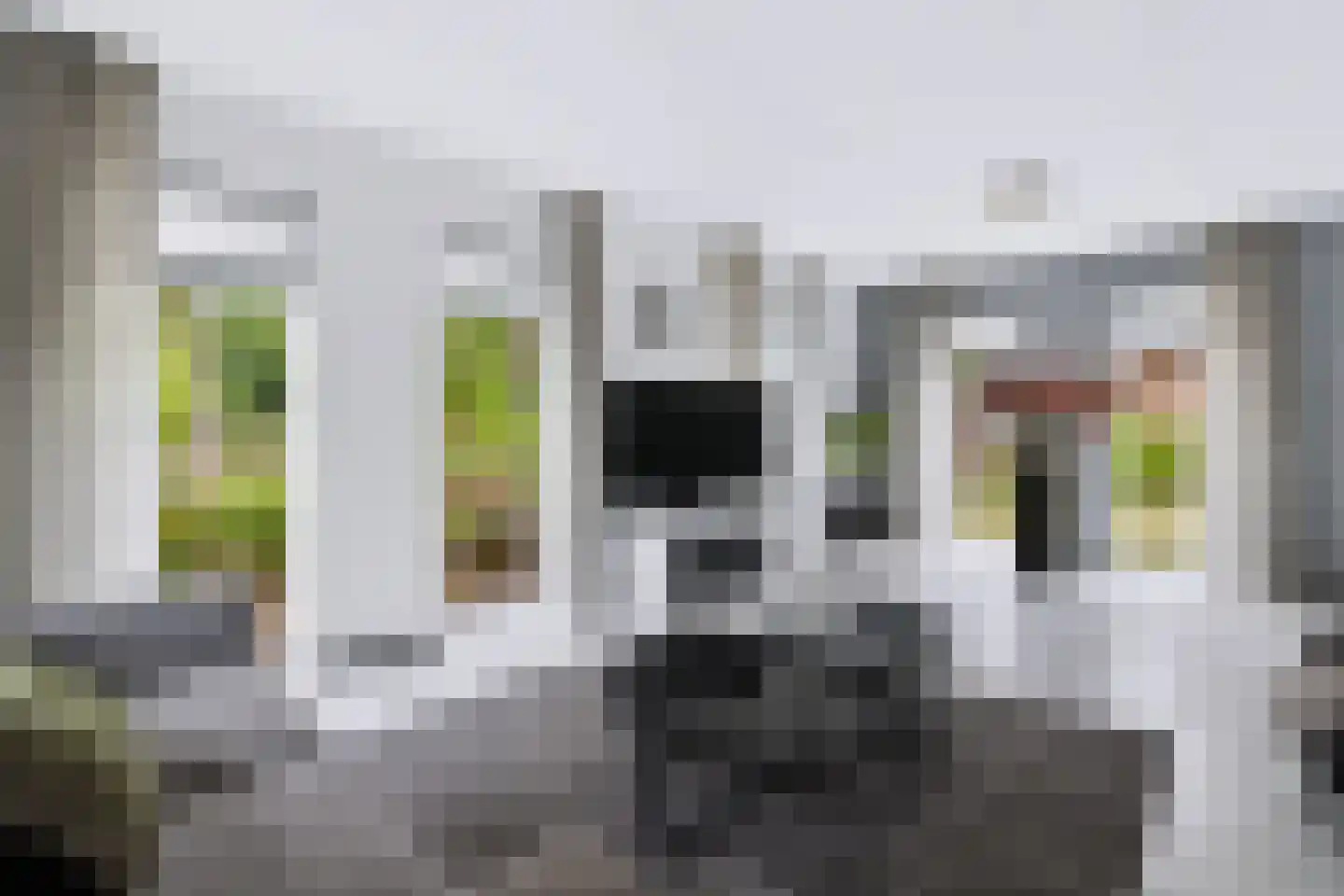 Wilhelminastraat 111 Didam thumbnail 22