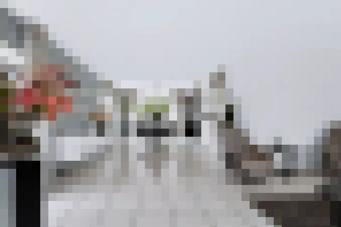 Wilhelminastraat 111 Didam thumbnail 25