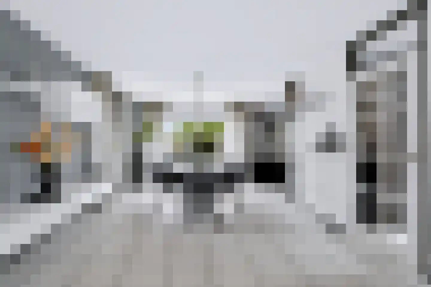 Wilhelminastraat 111 Didam thumbnail 26
