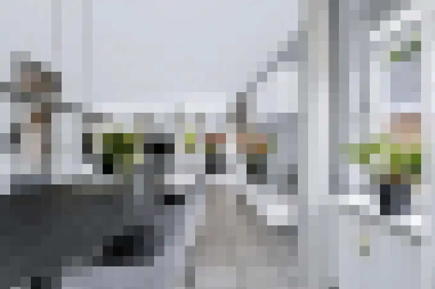 Wilhelminastraat 111 Didam thumbnail 27