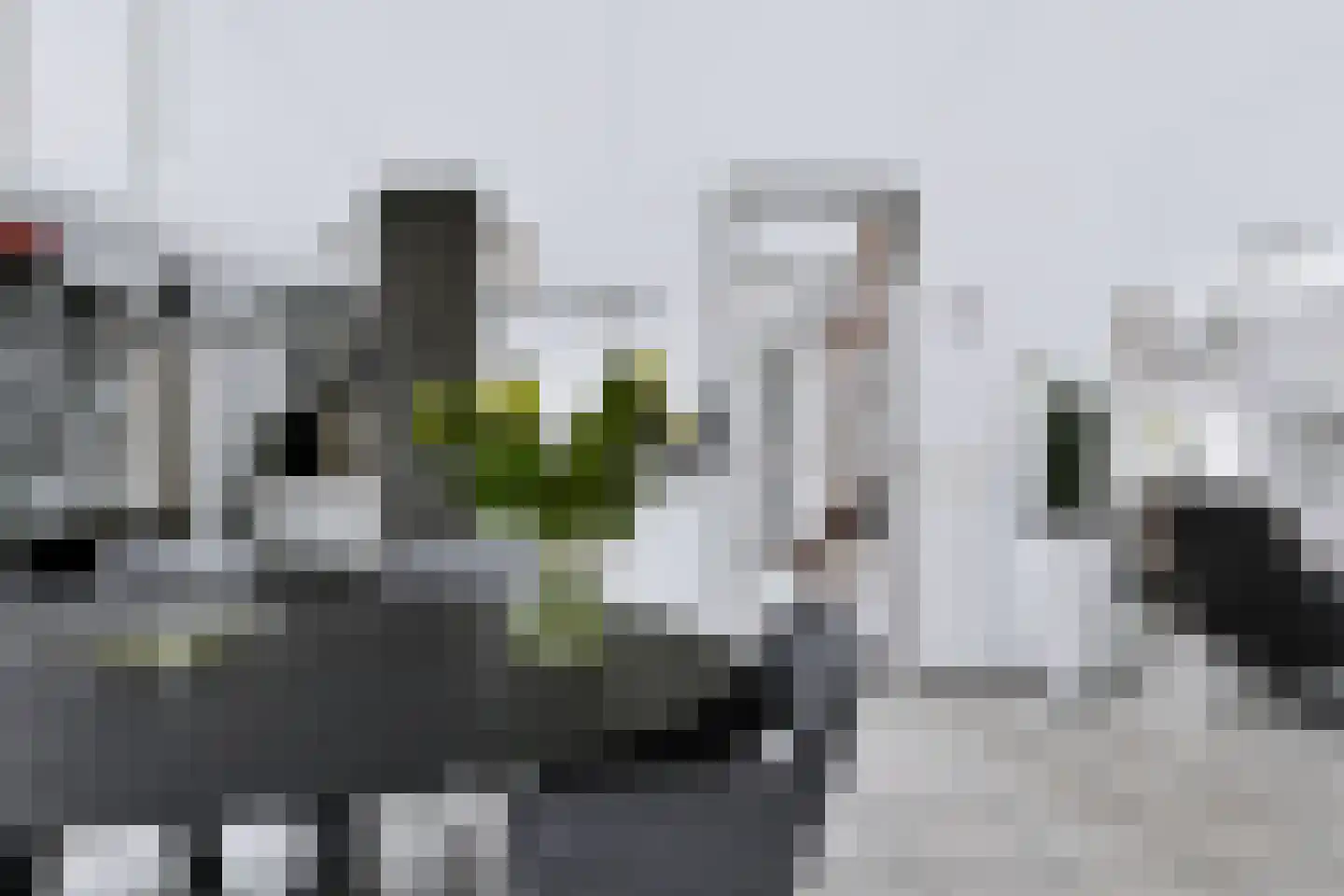 Wilhelminastraat 111 Didam thumbnail 28