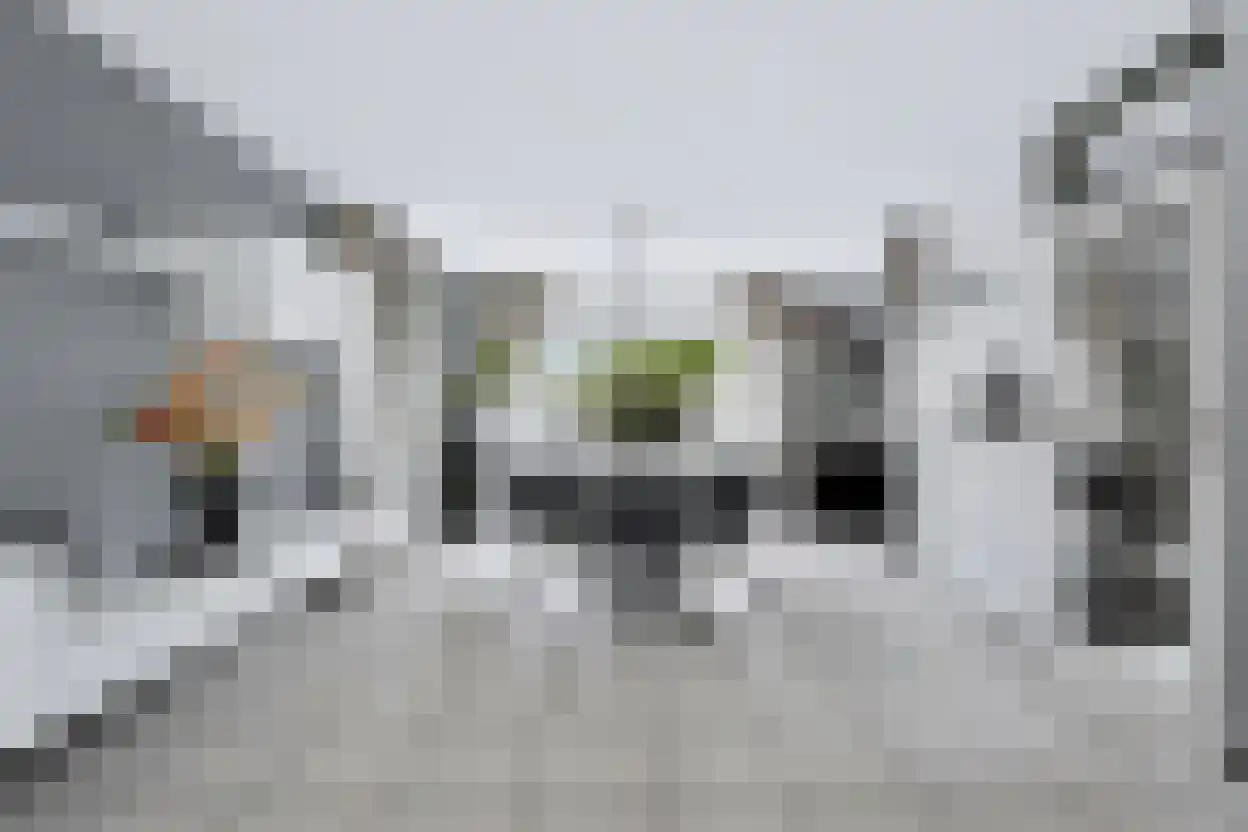 Wilhelminastraat 111 Didam thumbnail 30