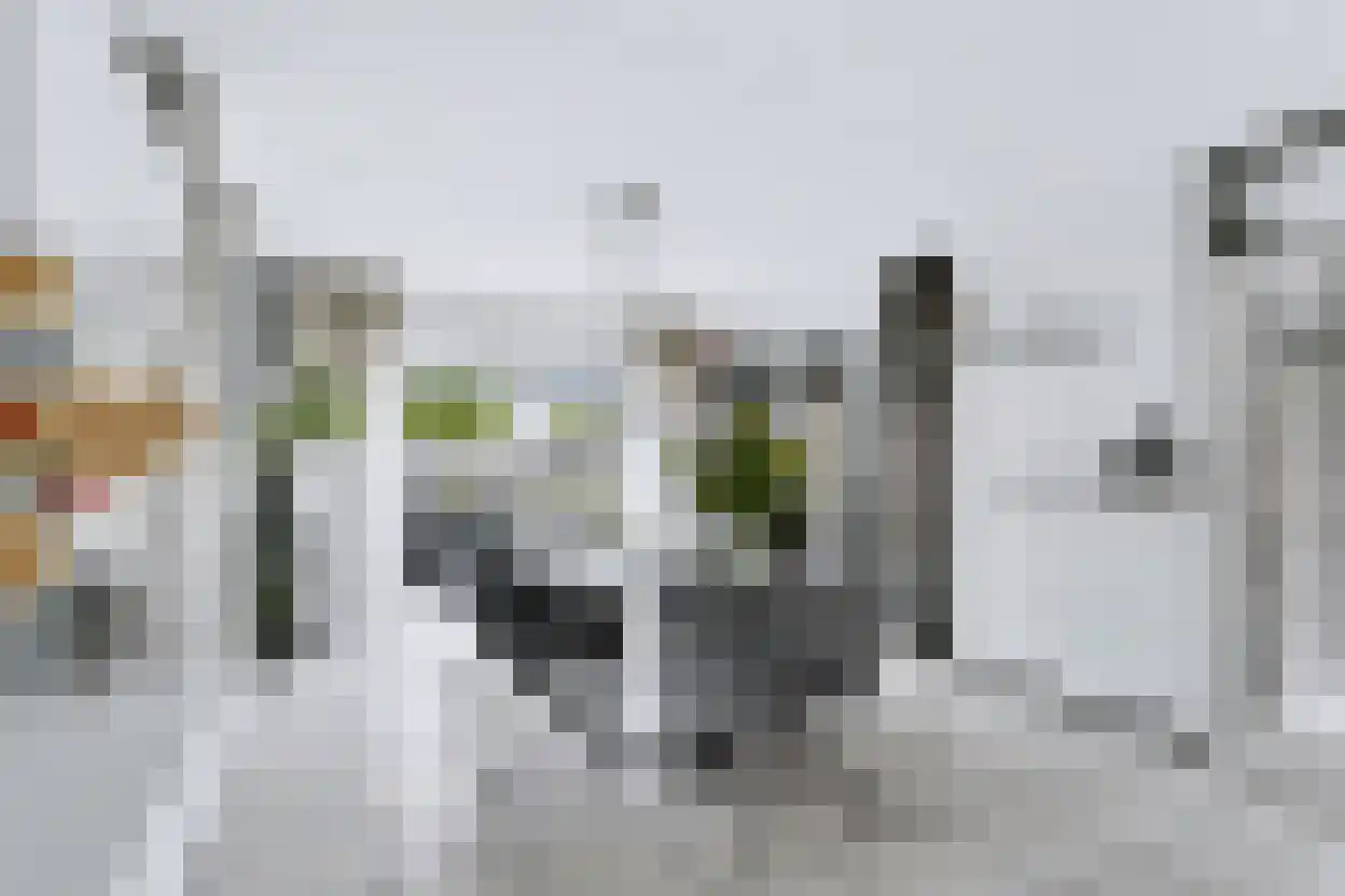 Wilhelminastraat 111 Didam thumbnail 32
