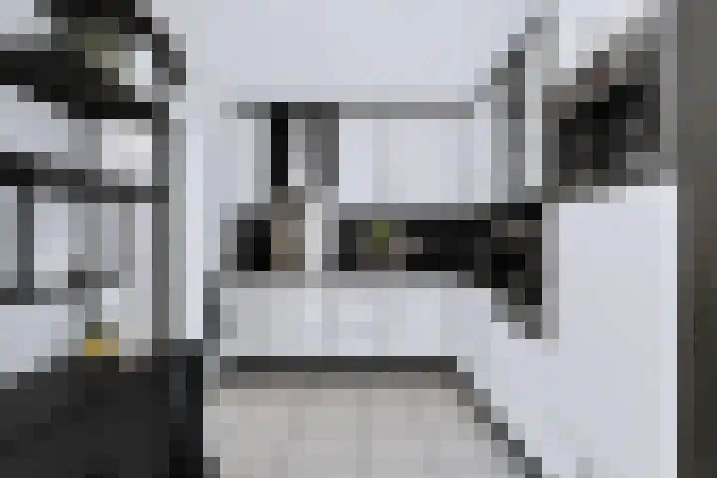 Wilhelminastraat 111 Didam thumbnail 33