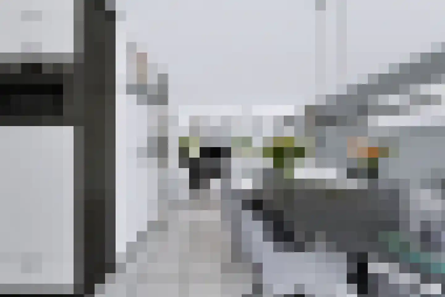 Wilhelminastraat 111 Didam thumbnail 37