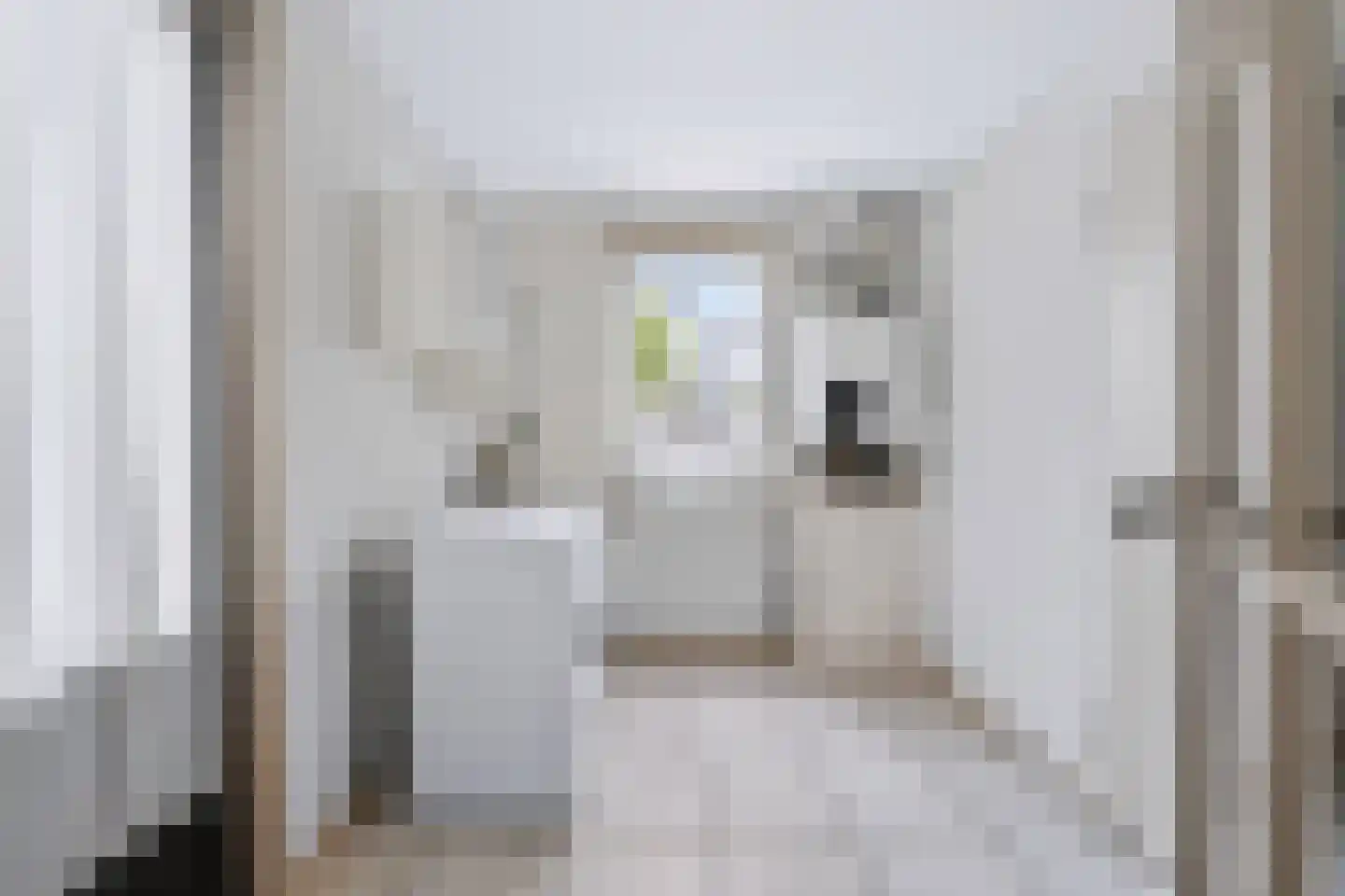 Wilhelminastraat 111 Didam thumbnail 38
