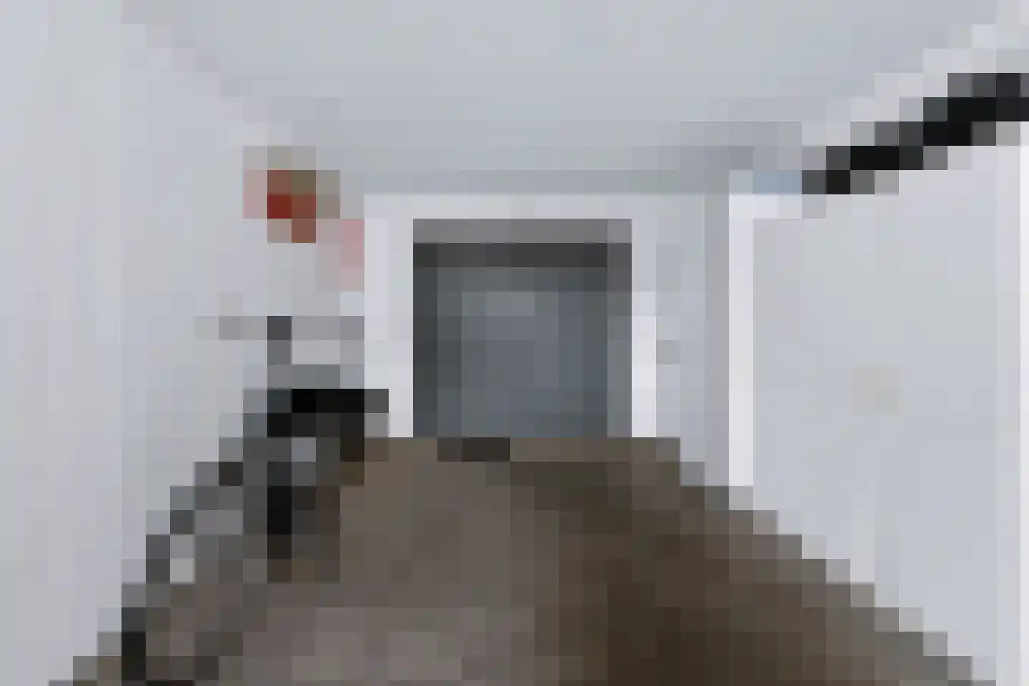 Wilhelminastraat 111 Didam thumbnail 42