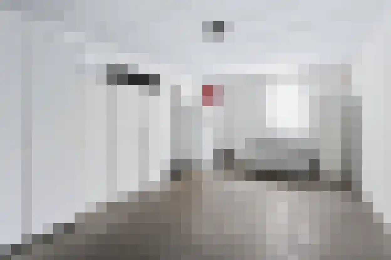Wilhelminastraat 111 Didam thumbnail 43