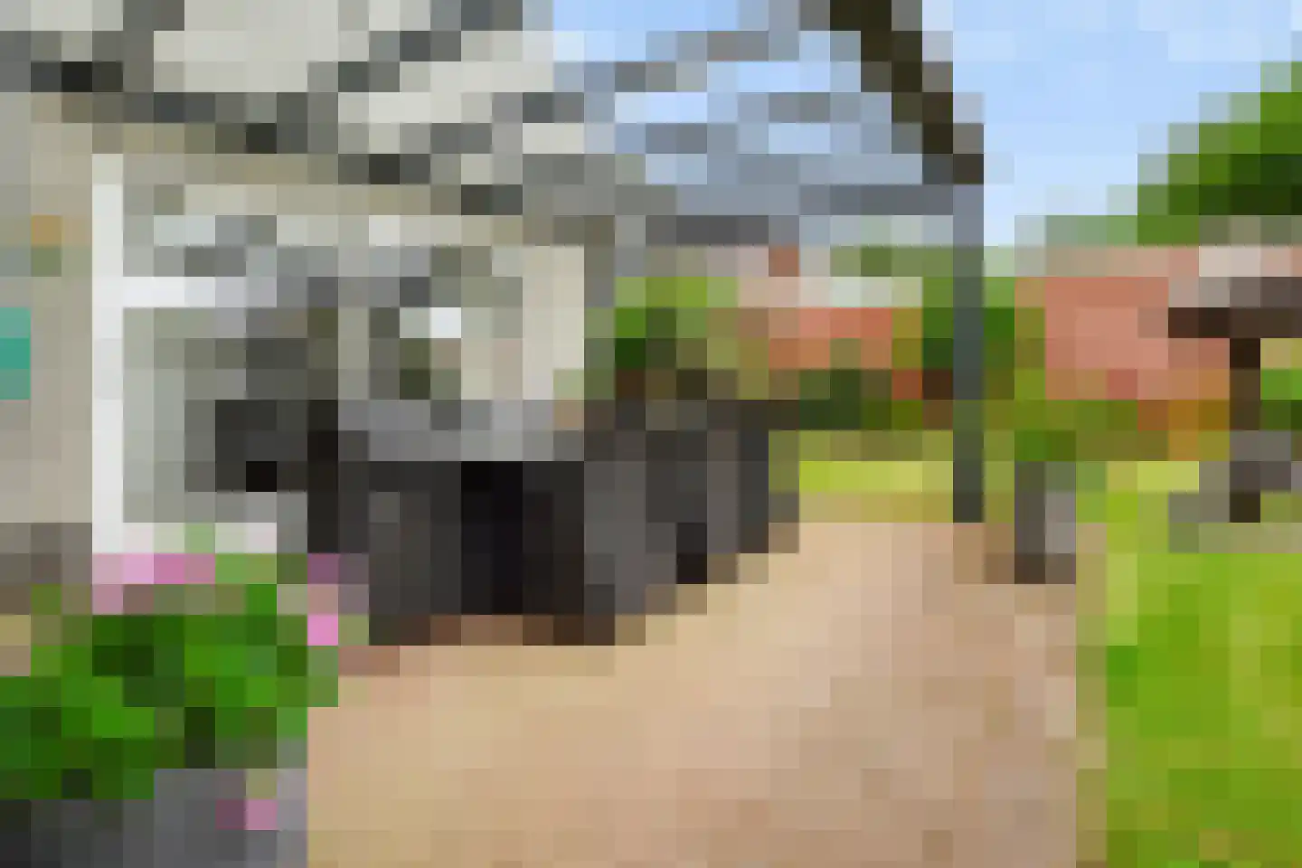 Wilhelminastraat 111 Didam thumbnail 45