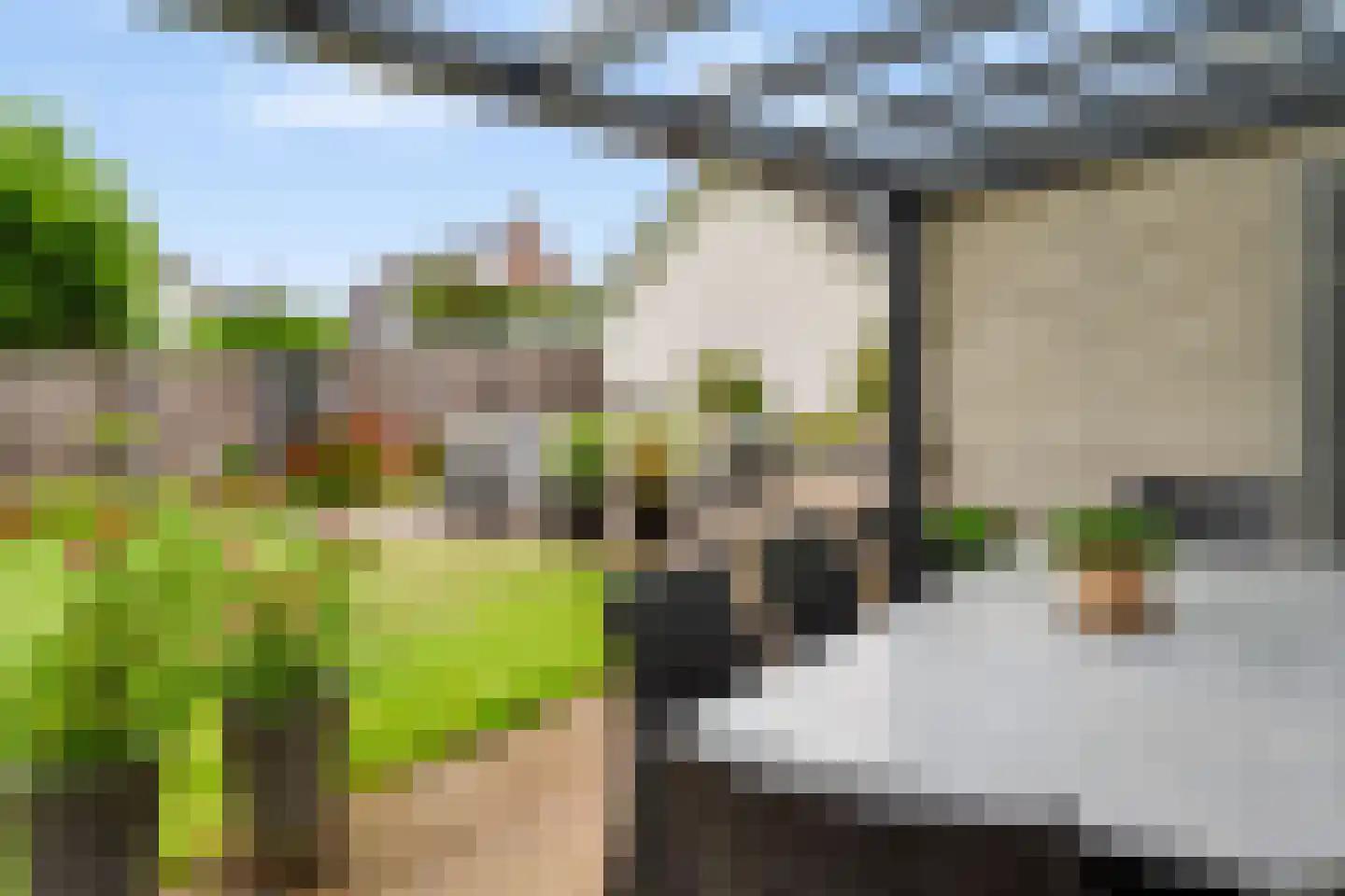 Wilhelminastraat 111 Didam thumbnail 46