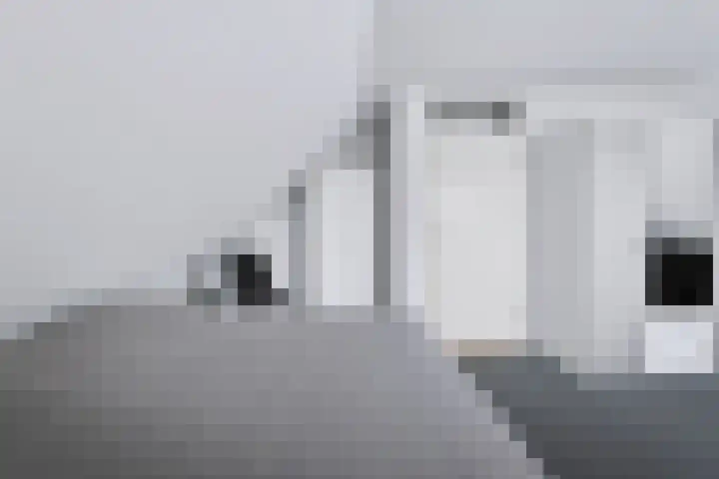 Wilhelminastraat 111 Didam thumbnail 58