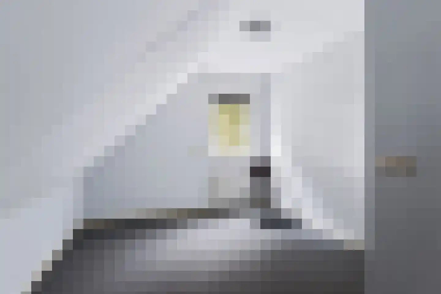 Wilhelminastraat 111 Didam thumbnail 62