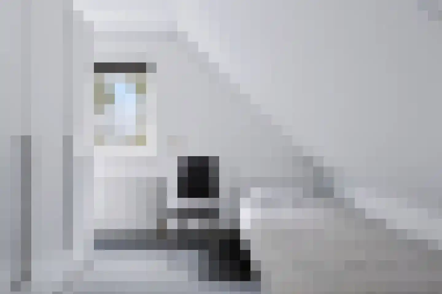 Wilhelminastraat 111 Didam thumbnail 64