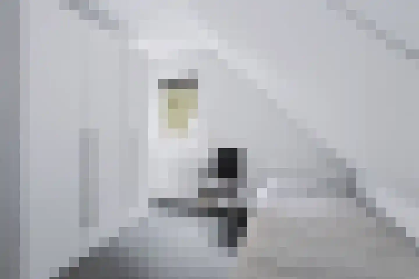 Wilhelminastraat 111 Didam thumbnail 65
