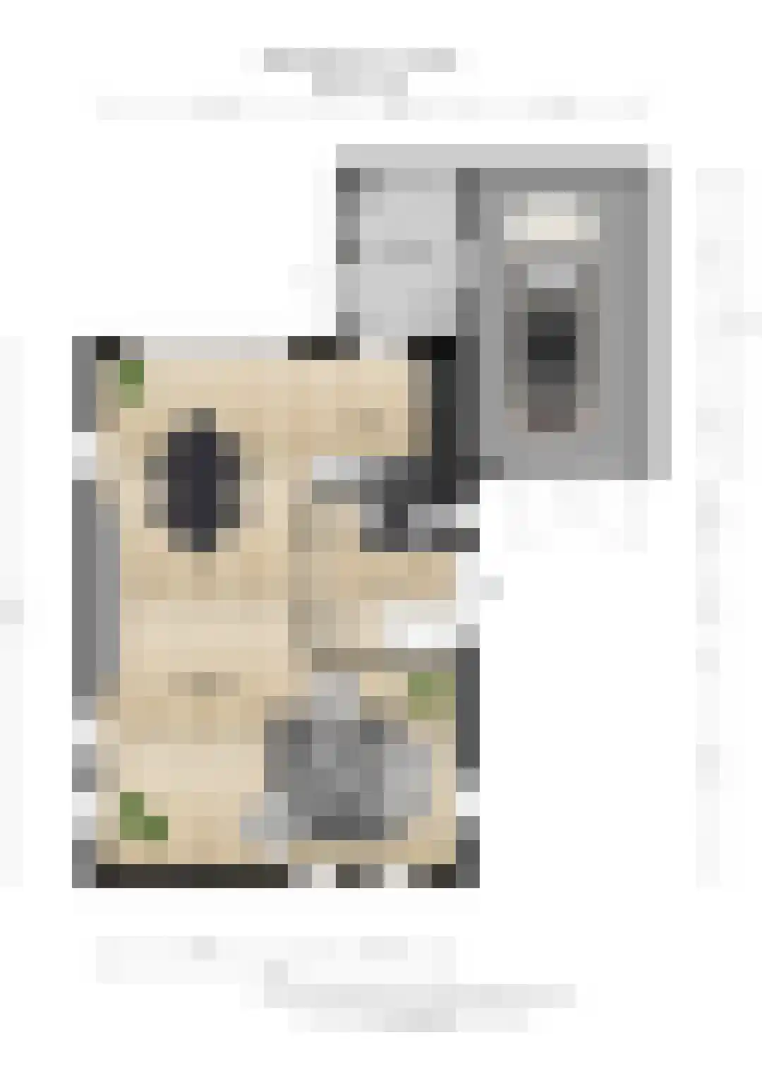 Wilhelminastraat 111 Didam thumbnail 74