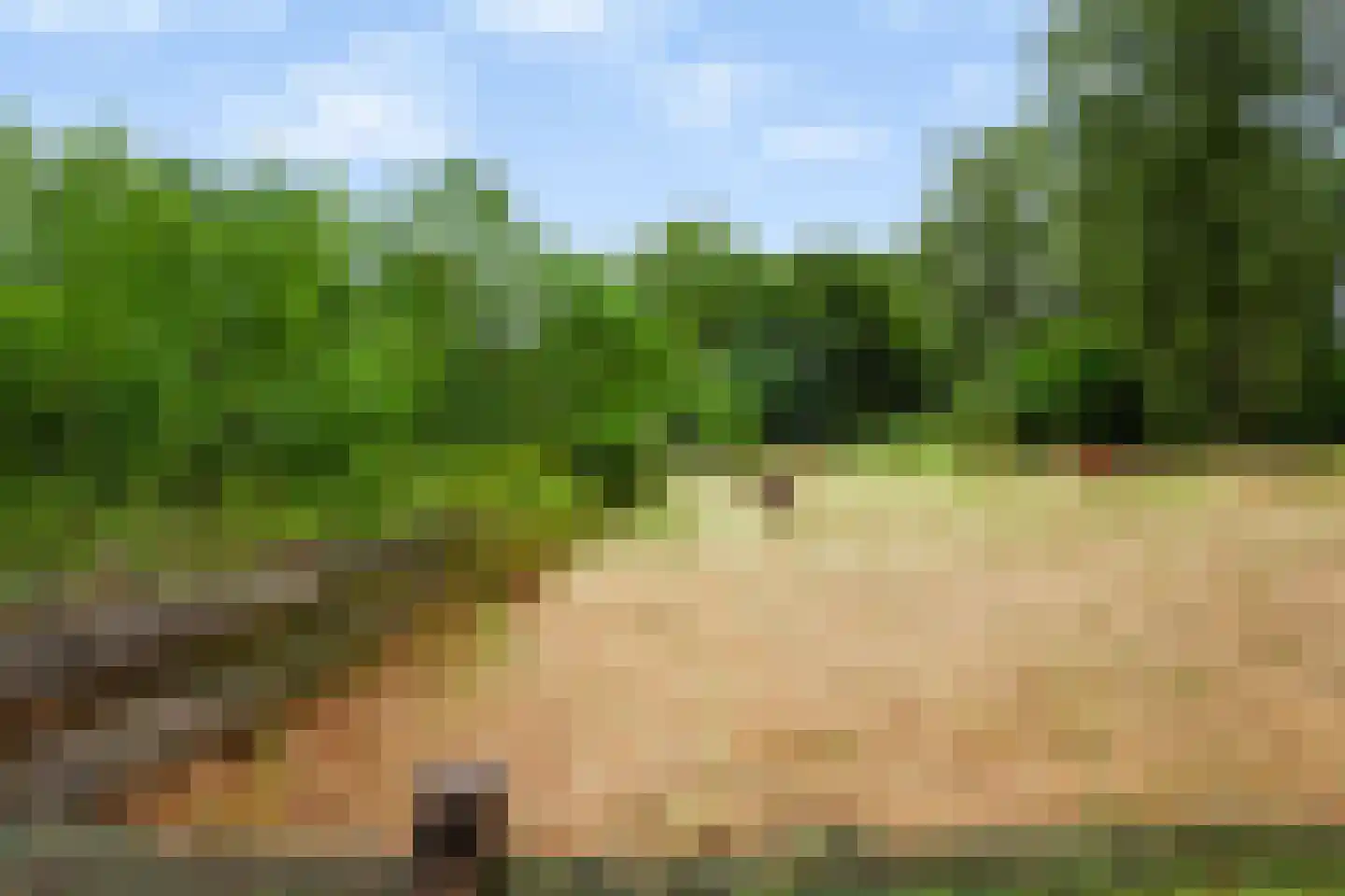 Wilhelminastraat 111 Didam thumbnail 9