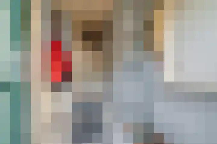 Wilhelminastraat 111 Sappemeer thumbnail 11