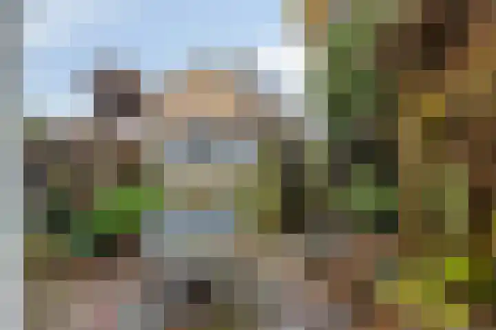 Wilhelminastraat 112 Berkel en Rodenrijs thumbnail 12