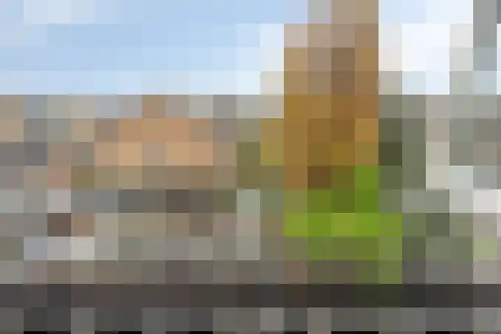 Wilhelminastraat 112 Berkel en Rodenrijs thumbnail 30