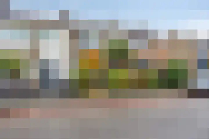 Wilhelminastraat 112 Berkel en Rodenrijs thumbnail 4