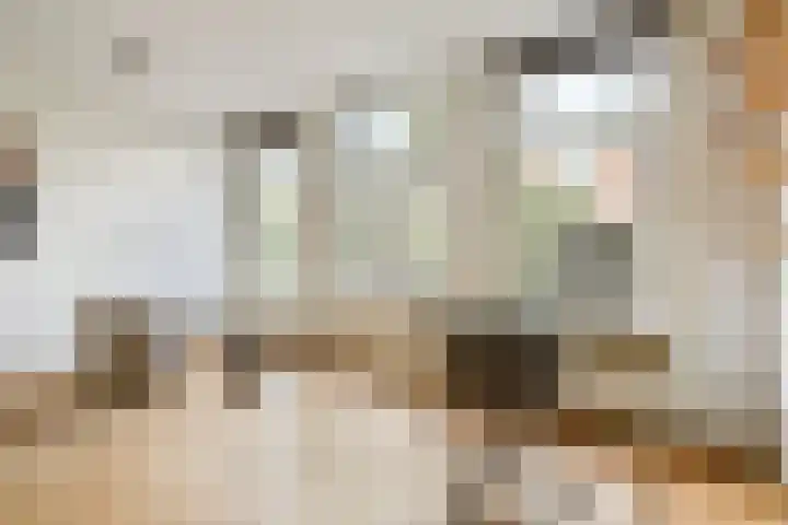 Wilhelminastraat 113 H Amsterdam thumbnail 16