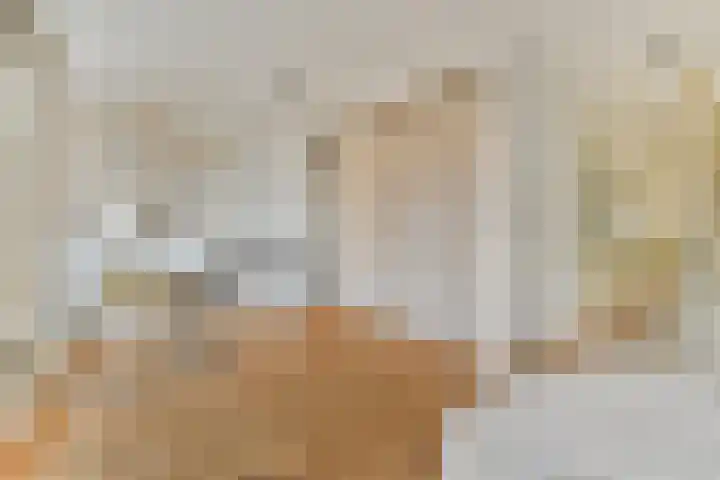 Wilhelminastraat 113 H Amsterdam thumbnail 17