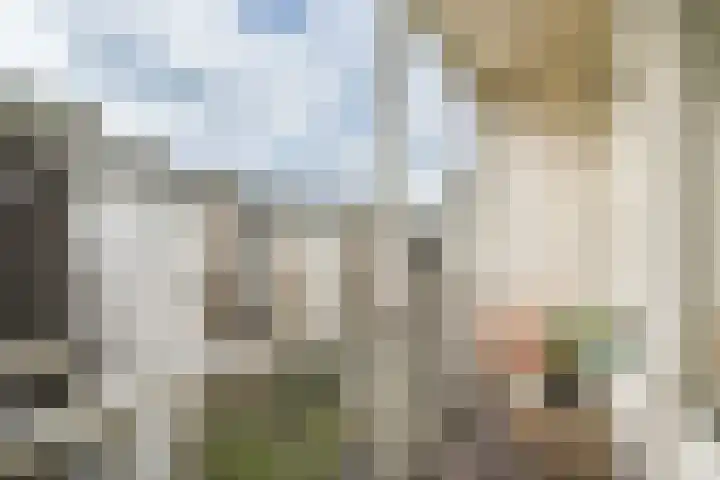 Wilhelminastraat 113 H Amsterdam thumbnail 22