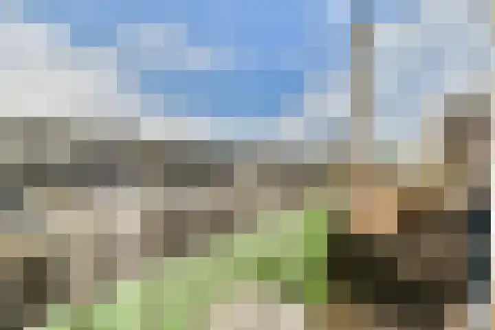 Wilhelminastraat 113 H Amsterdam thumbnail 30
