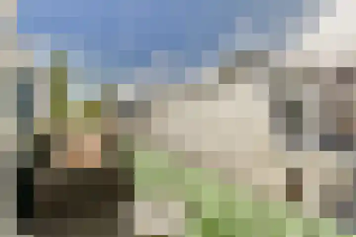 Wilhelminastraat 113 H Amsterdam thumbnail 31