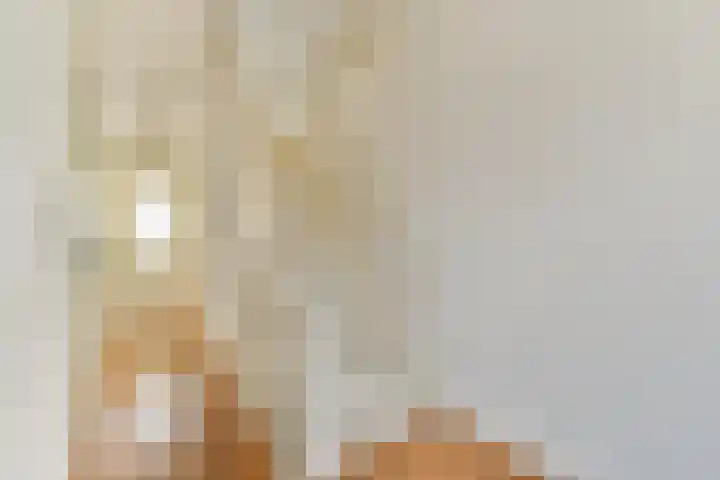 Wilhelminastraat 113 H Amsterdam thumbnail 5