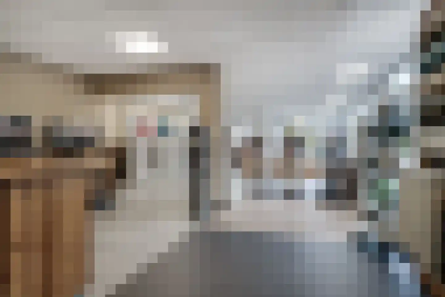 Wilhelminastraat 116 Didam thumbnail 12